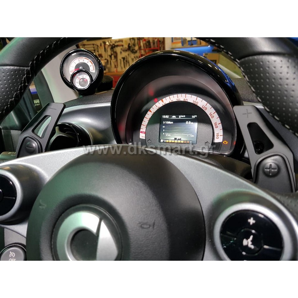 Smart 451 1000cc: PADDLES 453 451 450 452